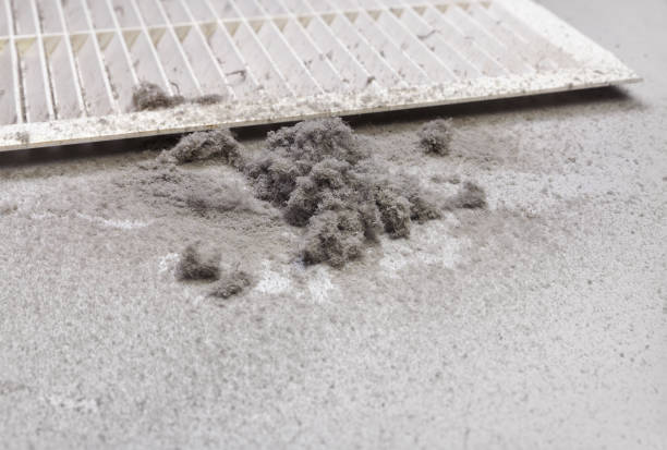 Best Home Air Vent Cleaning  in Delafield, WI