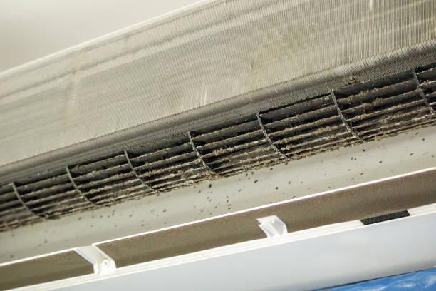 Best HVAC Duct Inspection Services  in Delafield, WI